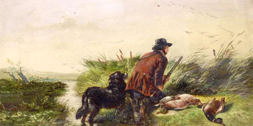 Enten im Flug nach einem Gemälde von Richard Ansdell (1815-85)